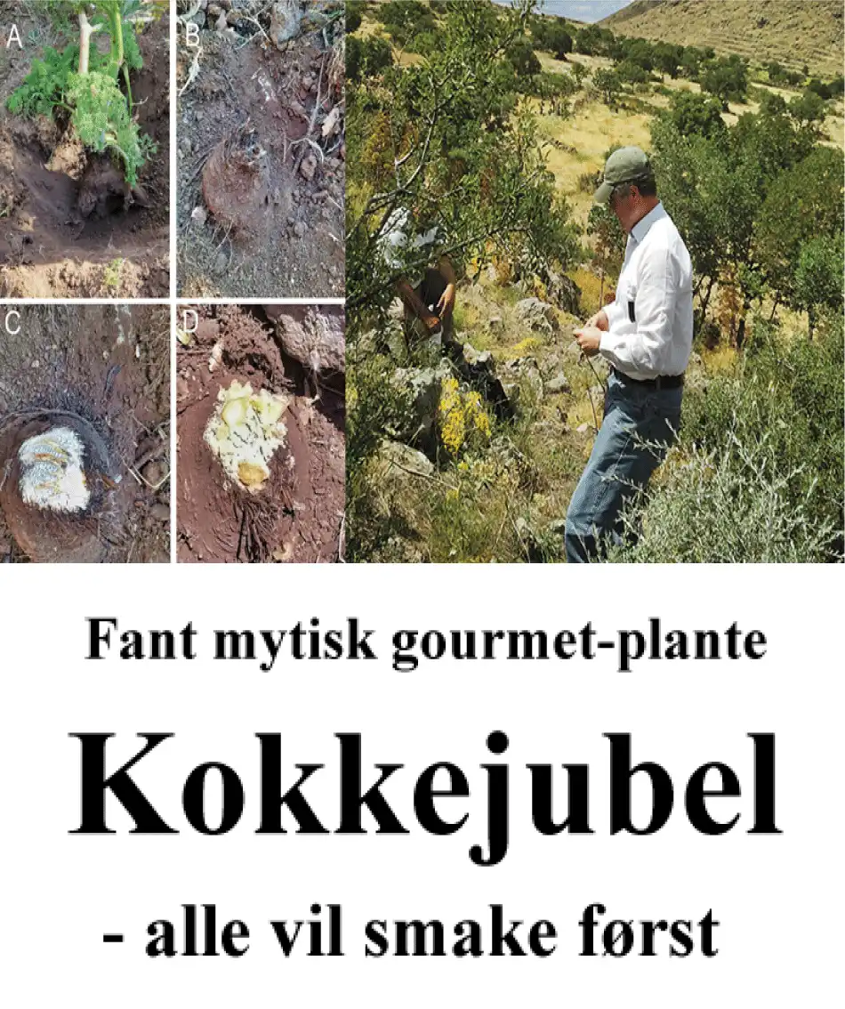 Thumbnail Image 1