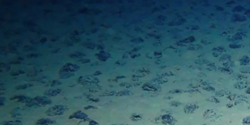 Thumbnail Image 1