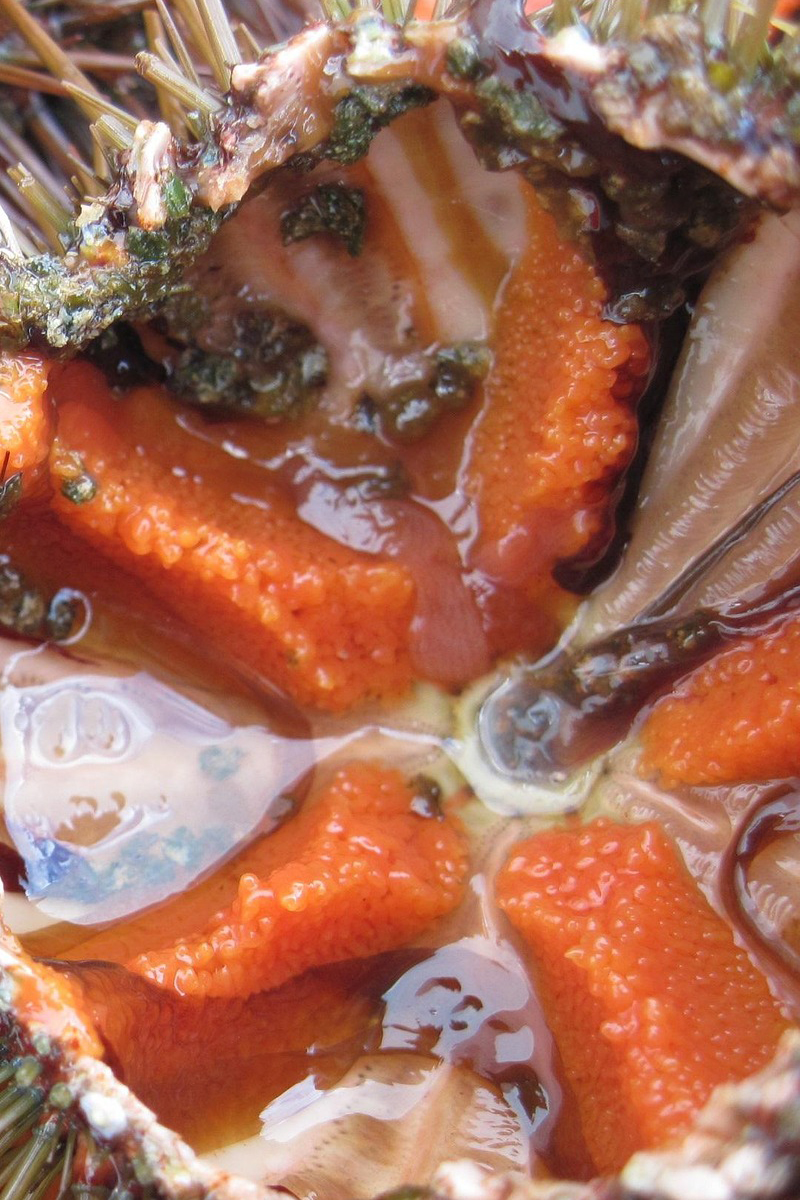 Thumbnail Image 1