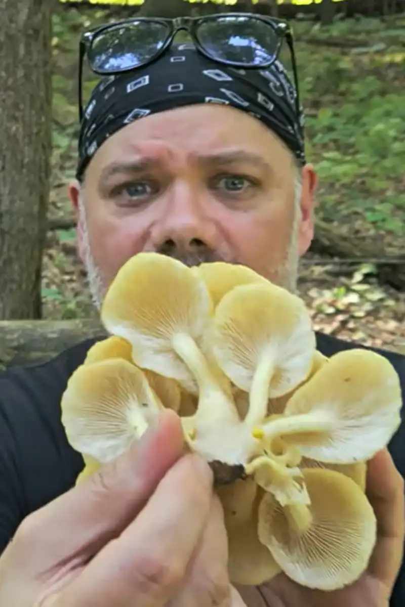 Thumbnail Image 1